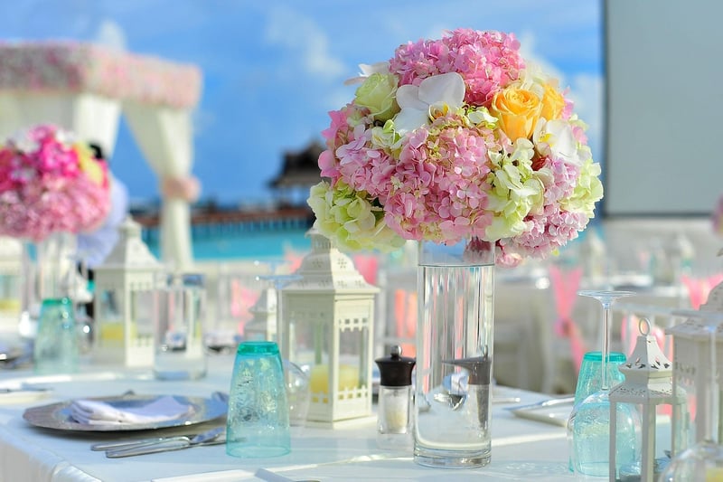 Enchanted Reception
